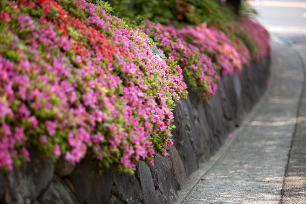 Kanko Hotel Taibokaku คาราสึ ภายนอก รูปภาพ
